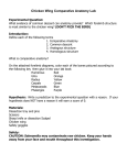 Chicken Wing Comparative Anatomy Lab 2