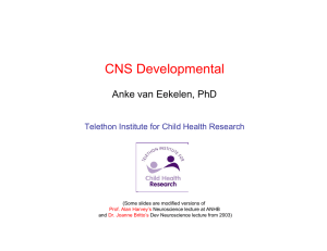 Development of CNS