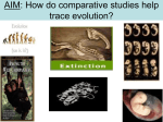 AIM: How do comparative studies help trace evolution?