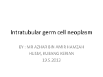 Intratubular germ cell neoplasm