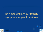 Role_and_deficiency_toxicity_symptoms_of_plant_nutrients