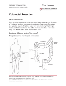 Colorectal Resection - OSU Patient Education Materials