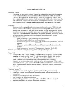 9 Endocrine Physiology