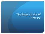The Body`s Lines of Defense