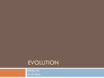 Quick intro to Evolution - Le site web de M. St Denis
