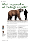 What happened to all the large animals?
