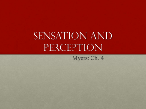 Introduction to Sensation and Perception