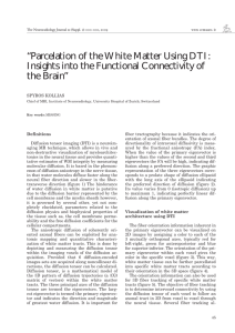“Parcelation of the White Matter Using DTI: Insights into the