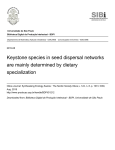 Keystone species in seed dispersal networks are mainly
