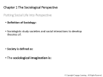 Sociology in Our Times: The Essentials