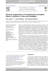 Genomic Organization of Evolutionarily Correlated Genes in