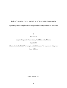 Role of circadian clocks intrinsic to SCN and
