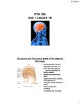 PTA 106 Unit 1 Lecture 1B Structural and Functional areas of the