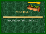 minerals - gozips.uakron.edu