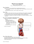 Blood Pressure Regulation