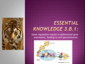 Essential knowledge 3.B.1