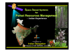 Forest Resources Management