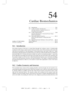 Cardiac Biomechanics