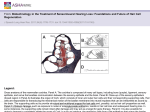 Slide () - Journal of Speech, Language, and Hearing Research