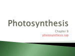 Ch. 8 - Photosynthesis