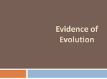 Evidence of Evolution - Get a Clue with Mrs. Perdue