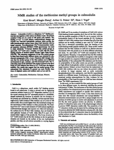 NMR studies of the methionine methyl groups in calmodulin