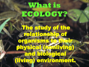 ecology - kldaniel