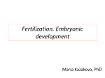 Fertilization. Embryonic development