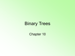 Binary Trees