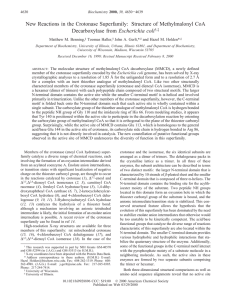 New Reactions in the Crotonase Superfamily: Structure of