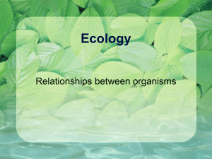 Ecology