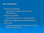 Sex Hormones