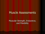 Muscle Assessments