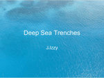 Deep Sea Trenches