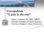Coccygodynia “A pain in the rear”