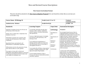 New and Revised Course Descriptions