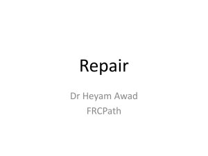 Repair 1