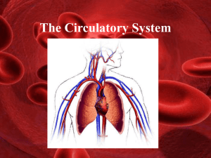 The Circulatory System