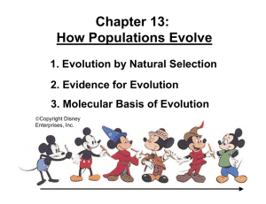 Chapter 13: How Populations Evolve