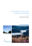 The impacts of wind power on terrestrial mammals