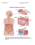 Histology of the digestive system (part