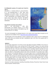 The report Oceanographic and biological features in the Canary