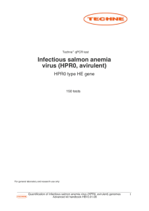 Infectious salmon anemia virus (HPR0, avirulent)