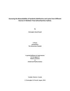 Assessing the Bioavailability of Synthetic Methionine and Lysine