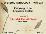 Pathology of the Endocrine System