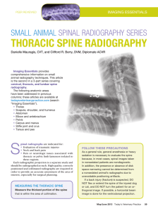 thoracic spine radiography - Today`s Veterinary Practice
