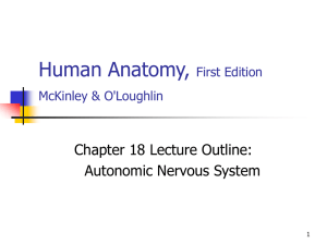 Autonomic Nervous System