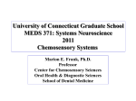 Smell Prism - Systems Neuroscience Course, MEDS 371, Univ