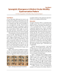 Synergistic Divergence: A Distinct Ocular Motility Dysinnervation