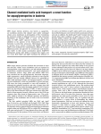 Channel-mediated lactic acid transport: a novel function for